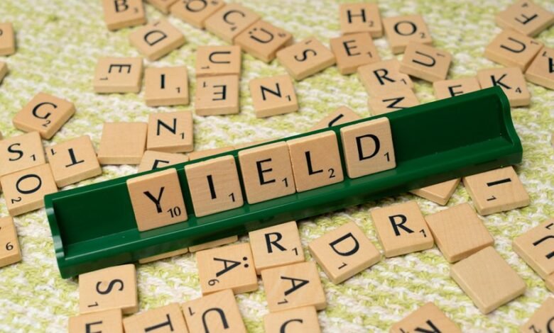 dividend yield from gmbh