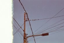 support line business communication