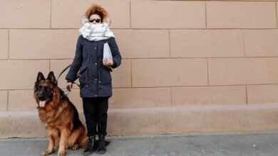 comprehensive fashionisk services guide