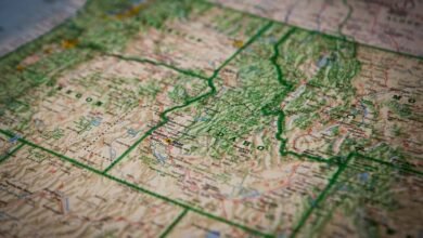 dodear website feature overview