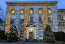 dotmovie movie portal functions