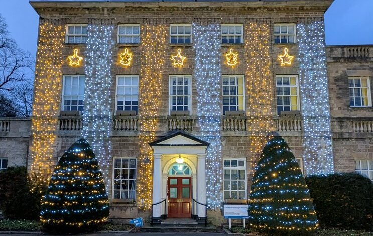 dotmovie movie portal functions