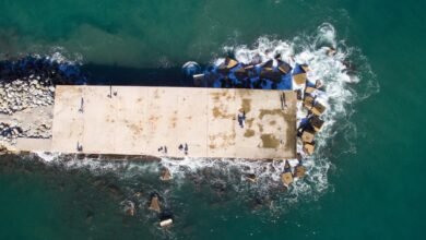 downloadhub platform overview details