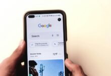 dvd movie streaming site