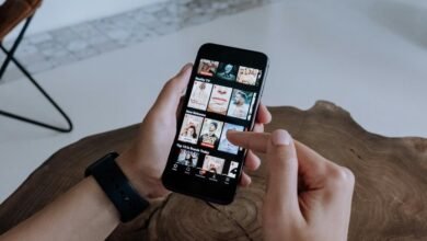 fapmovs streaming platform overview