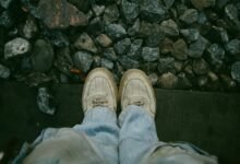 fashion platform overview summary