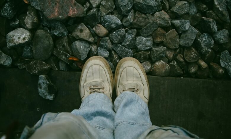 fashion platform overview summary