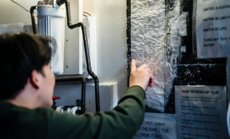 filmy4wep com platform guide