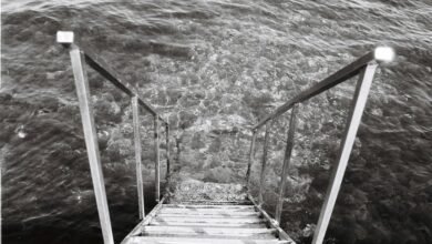 filmygod 8 platform overview