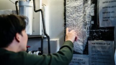 filmyhunk net informational guide