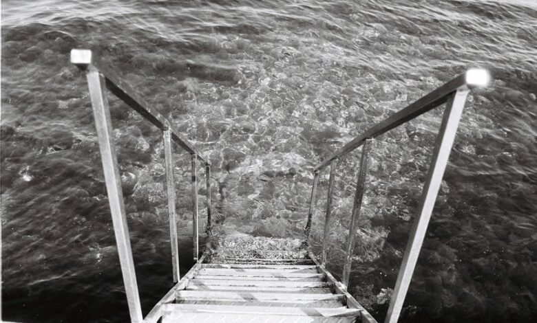 filmywala platform overview details