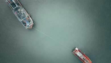 flica net login information overview