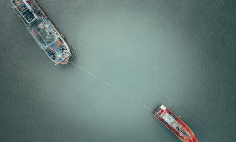 flica net login information overview