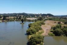 fortebet uganda login guide