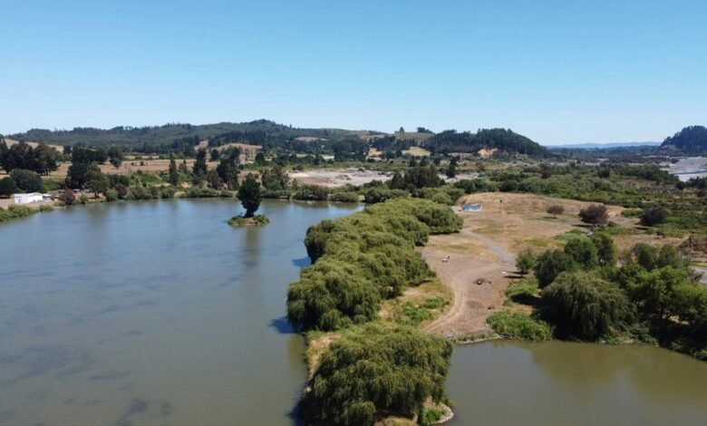 fortebet uganda login guide