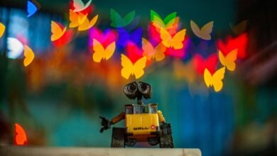 movie streaming portal overview